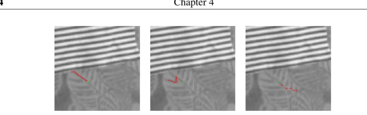 Fig. 4.4: Example of three particles walks (red pixel) starting from the same origin position (green pixel), the walks follow image structure.