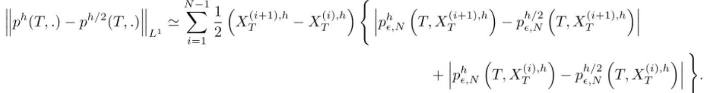 Illustration of the theoretical order of convergence in total variation
