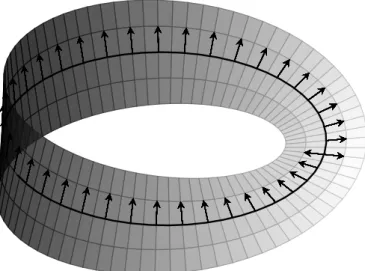 Figure 1.5: M¨ obius strip as a fiber bundle.