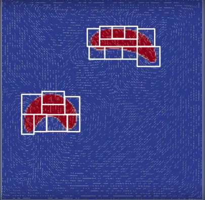 Figure 1.7 – Simulation of two bubbles, with AMR patches visible as white rectangles