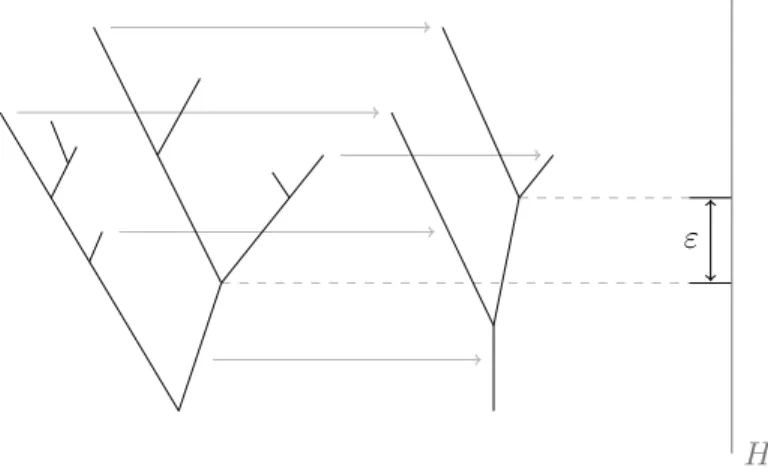 Figure 4.3: Example of an ε-trimming. The left-hand tree represents T , the right-hand one T ε 