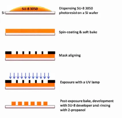 Figure  1.  14  : Exemple des différentes étapes suivies  pour la fabrication  des  micropiliers par la photolithographie (Athanasios et al