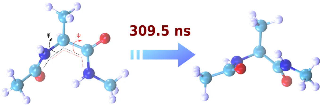 Figure 4 – Les deux conformations stables de la molécule dipeptide alanine et les angles dièdres φ et ψ utilisés
