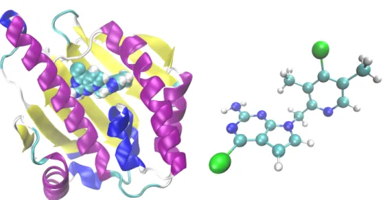 Figure 1.8 – N-terminal part of Hsp90, with ligand inside its cavity (structure PDB 5LR1), and the ligand molecule