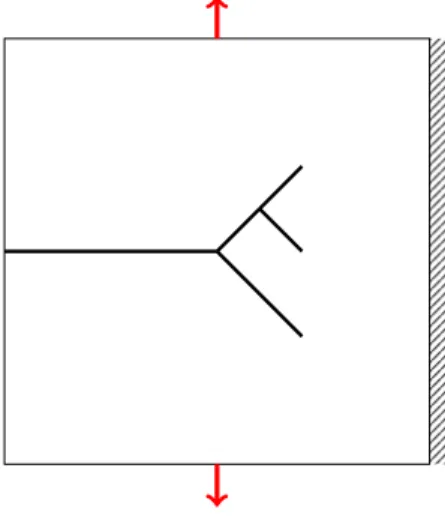 Figure 1.6 – Branchements d’une fissure lors d’un essai en traction d’un échantillon (schéma de principe).