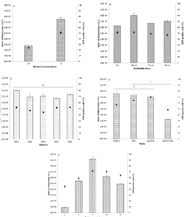 Figure 15 : Identification of optimal conditions for cell transfection using gesicles