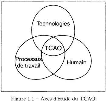Figure  1.1  -   Axes  d ’étude  du  TCAO