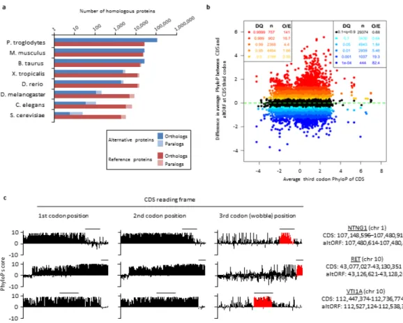Fig. 2. Conservation analyses of alternative proteins and altORFs. 