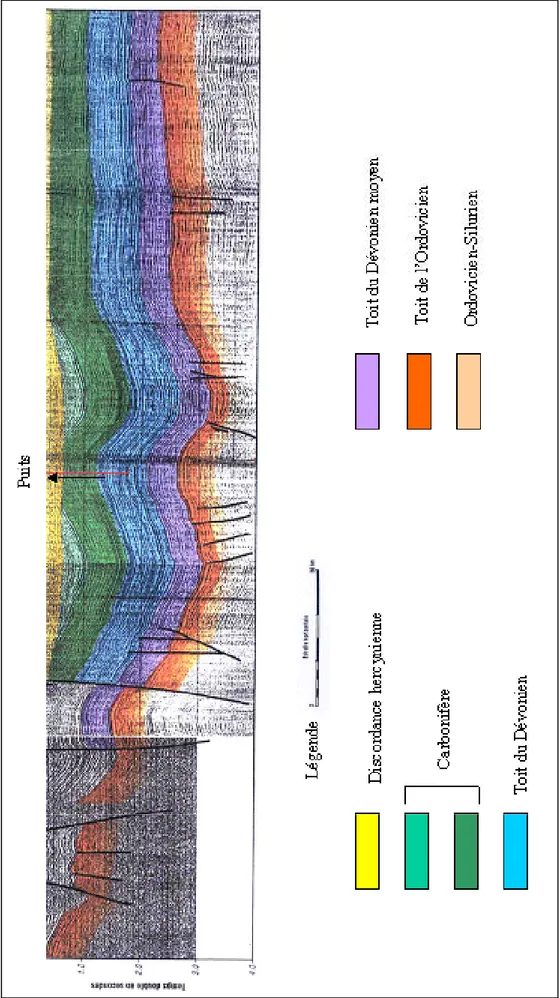 Fig. I.9 - Coupe sismique à travers un champ du bassin de l’Ahnet  (Rapport inédit, BHP.SONATRACH, 1995)!