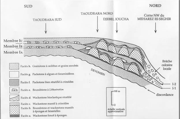 Fig. II.4 - Architecture interne de la formation d’Ioucha et  répartition des faciès selon une coupe orientée Nord-Sud