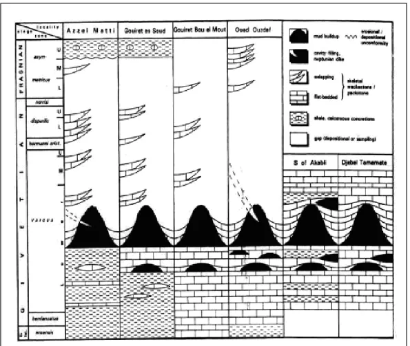 Fig. III.8 - Datation des récifs du bassin de l’Ahnet par les Conodontes  (Wendt et al., 1998)