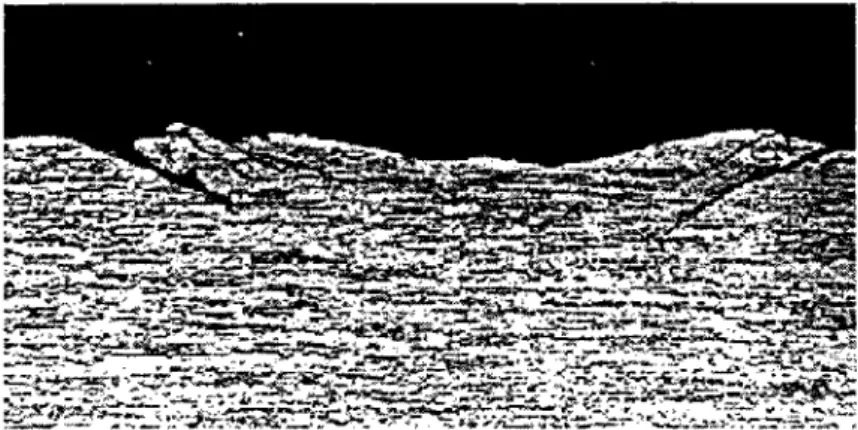 Figure 1.6: Fissures aux bords du contact d'après Zhou (1992), 