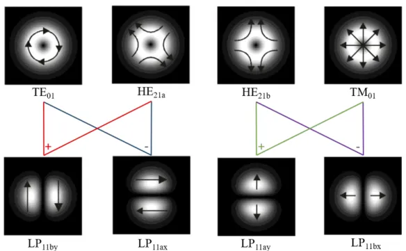 Figure 1.1. Combinations of vector modes to generate the 4-fold degenerate LP 11  mode