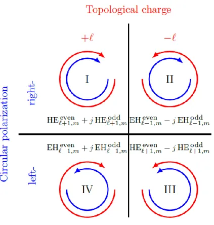 Figure 1.3. The four possible OAM mode combinations [74]. 