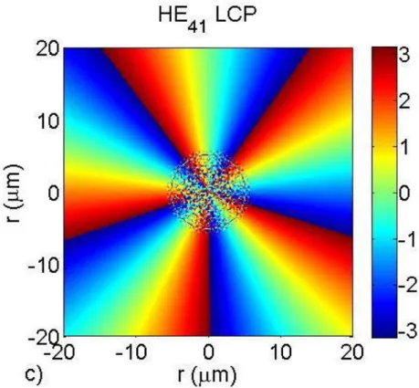 Figure  2.2.  Polarization  decomposition  of  the  OAM  mode  HE e 41 +jHE o 41   in  ACF  with 