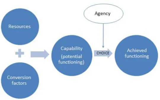 Figure  1:  The  five  main  concepts  behind  the  capability  approach  at  the  individual  level  and  their  sequential  relationship (inspired by Pelenc, Bazile, and  Ceruti (2015))