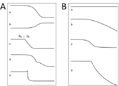 Figure 36 : A) Profils de variation massique selon les réactions chimiques pour une analyse TGA
