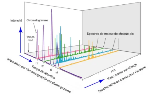 Figure 39 : Détection et analyse par GC-MS : chromatogramme et spectres de masse. [250]