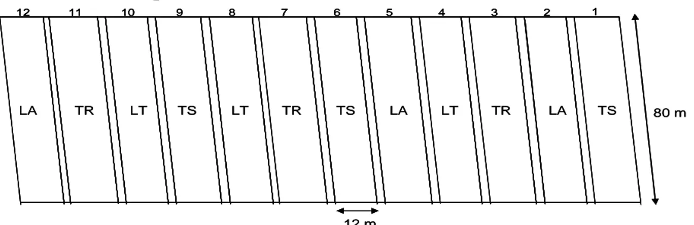 Figure 3 : Schéma du dispositif expérimental de Lyon. LT : Labour Traditionnel ; LA :  Labour Agronomique ; TR : Travail Réduit ; TS : Travail Superficiel 