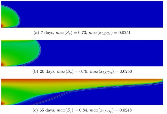 Figure 3: 2D problem of CO 2 injection in a fully water-saturated domain: