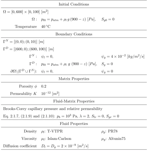 Table 3.1 – Parameters of the 2D problem of CO 2 injection (Neumann et al., 2013).