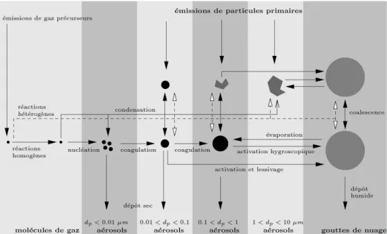 Figure 1.5 – Processus responsables des caractéristiques physico-chimiques des aérosols