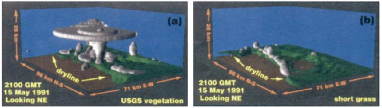 FIG. 1.10 : D’apr`es la 11 e fig. couleur de Pielke et al. (1997). Simulation de convection