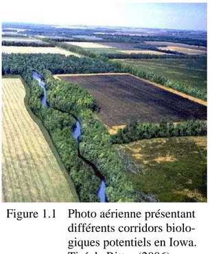 Figure 1.1  Photo aérienne présentant  différents corridors  biolo-giques potentiels en Iowa