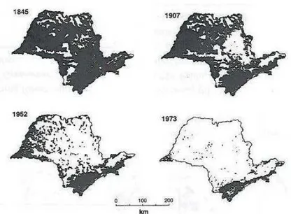 Figure 2.3  Évolution de la fragmentation (blanc) de l’habitat (noir) (Poole Basin, Dorset,  England)