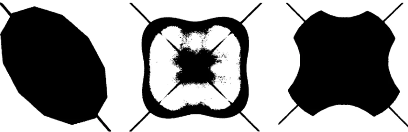 figure 2.4 - Glyphes DTI,  ODF et  propagateur de diffusion 