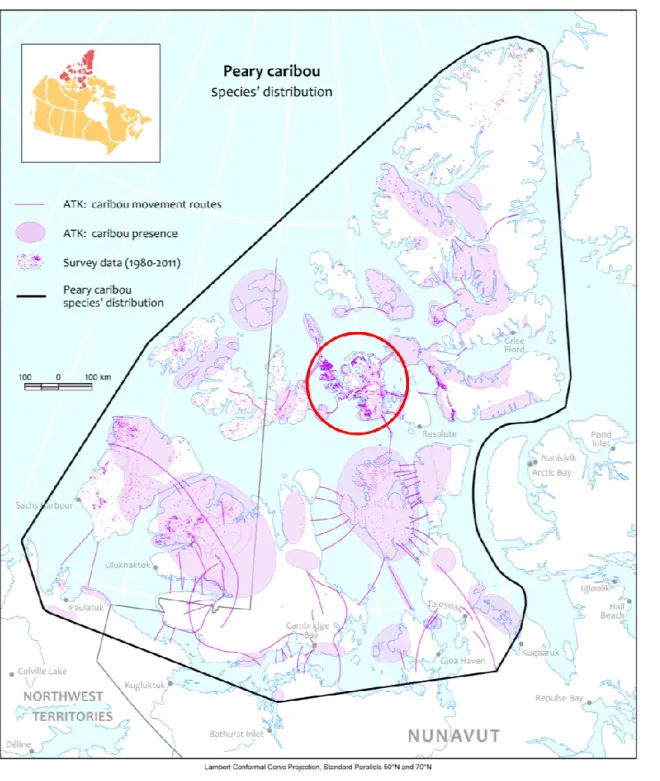 Figure 1: Peary caribou distribution defined using a standard convex polygon methodology using  aerial  counts,  telemetry  and  traditional  knowledge  (1970-2015)  (figure  from  Johnson  et al.,  2016)