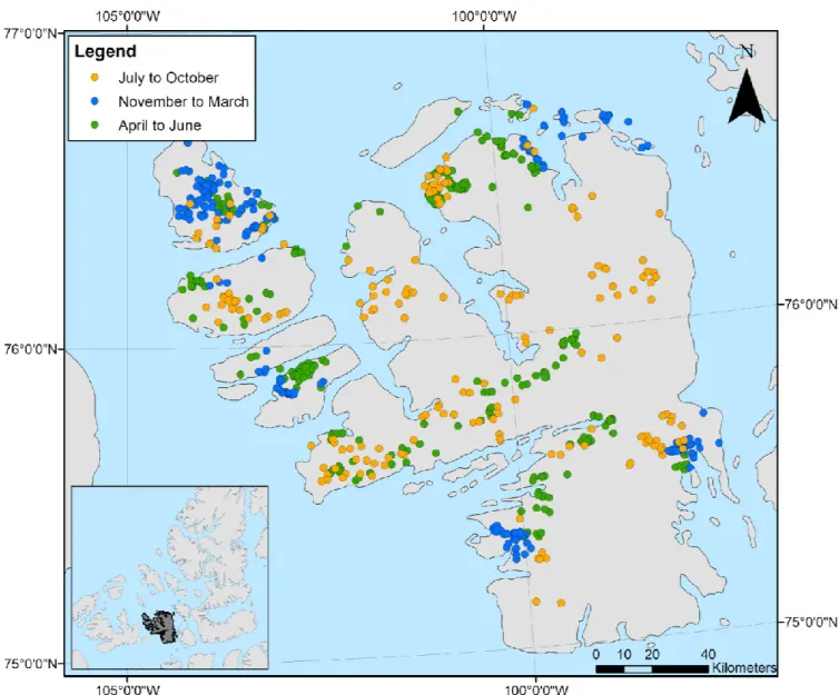 Figure 3. Geographical distribution of the Peary caribou telemetry GPS points from July 2003 to  June  2004  on  the  Bathurst  Island  Complex