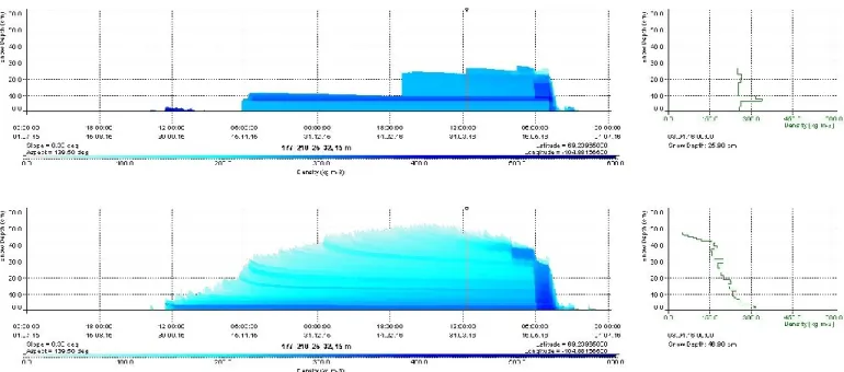 Figure 4. Comparison of the density profiles (colors) with Antarctic SNOWPACK version (top  simulation) and standard version (bottom simulation) at Cambridge Bay site