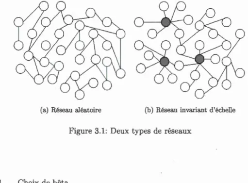 Figure  3 . 1 :  Deux  types  de  réseaux 