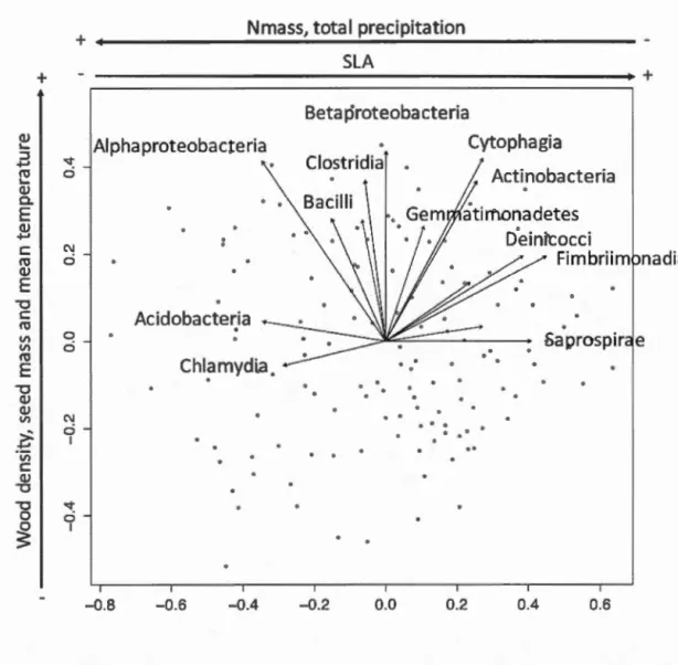Figure  1.4  Non-metric  multidimensional  scal in g  (NMDS)  ordination  of variation  in 