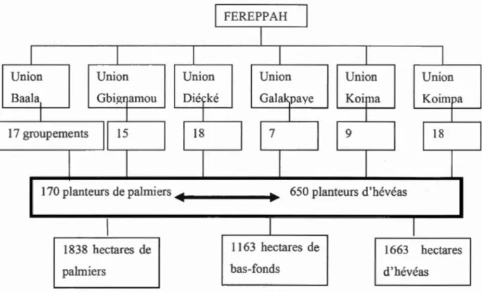 Figure  1 6.  Composition de la FEREPPAH. 