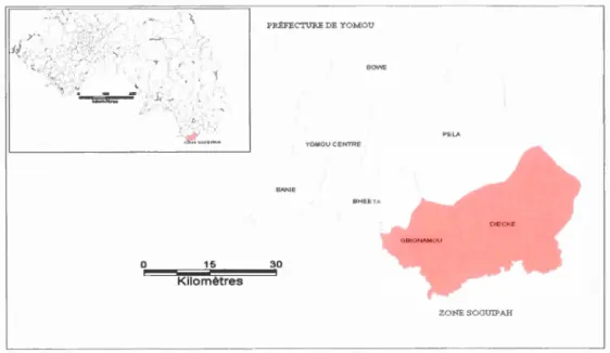 Figure 4 .  Carte  de  la  zo ne de SOGUIPAH 