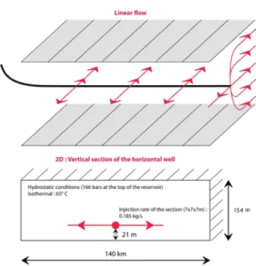 Fig. 1 2D models at large scale, Vertical section of a hor- hor-izontal well. The extent of the model is sufficiently large to overcome the problem of closed boundary conditions, i.e acts as an infinite aquifer