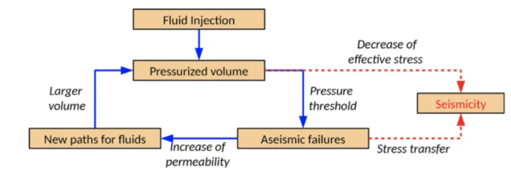 Figure 1.15 – Proposed model for injection induced seismicity: Direct effect of pore pressure (by the decrease of the effective stress) or through stress transfer from aseismic deformation, from in-situ experiments by De Barros et al