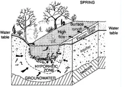 Figure 1.6 – Relations entre le cours d’eau et la nappe des formations adjacentes  (Sophocleous, 2002) 