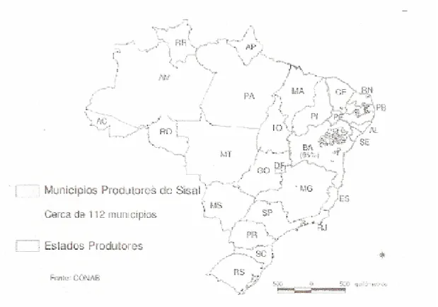 Figure 9: Principaux États-féderés producteurs de sisal (Brésil)  Source: CONAB, 2006 