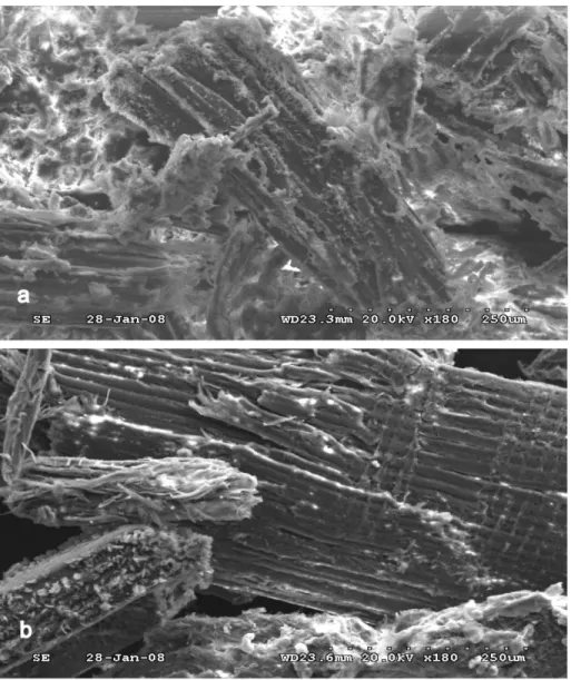 Figure 4.9. SEM images of MAPE treated jack pine wood fiber (a) and jack pine  bark fiber (b)