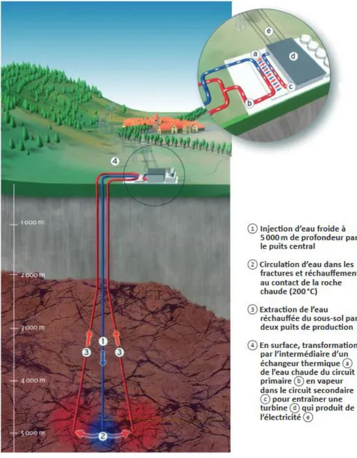 Figure 1-1 : Principe de fonctionnement d'un réservoir géothermique de haute température (ADEME/BRGM)