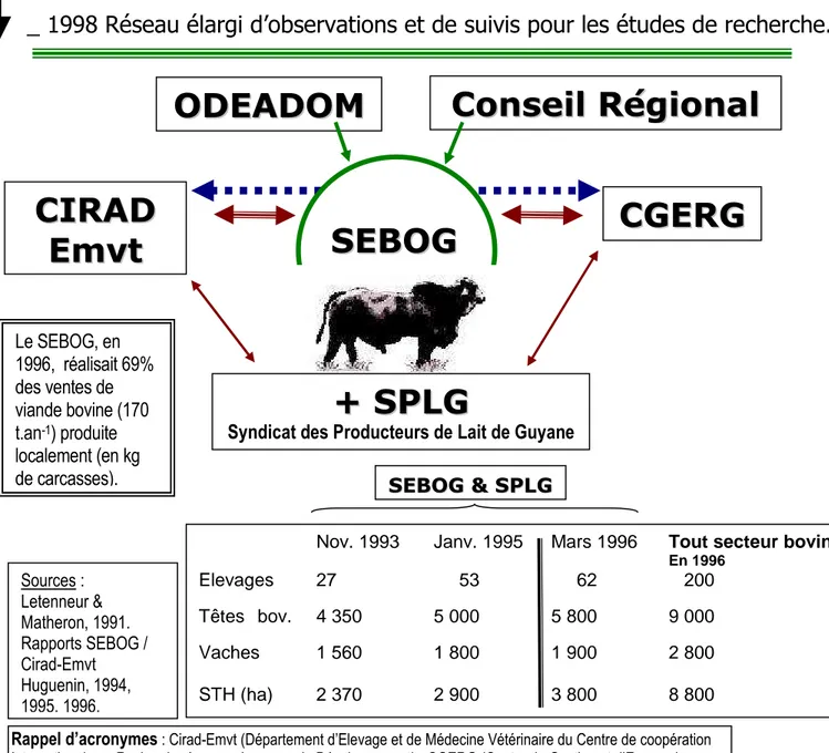 Figure n° 20 : Partenariat Eleveurs / Recherche – D éveloppement (1991-1997) en Guyane sur les  systèmes d’élevages et les systèmes herbagers 