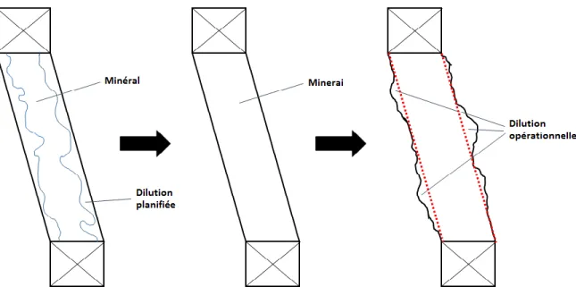 Figure 1.6 Schématisation des dilutions planifiée et opérationnelle à l’intérieur d’un chan- chan-tier d’abattage (vue transversale verticale pour la variante longitudinale de la méthode) 