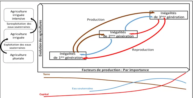 Figure 1. Évolution des agricultures et la (re)production des inégalités 