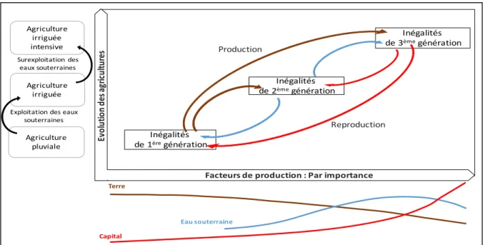 Figure 1. Évolution des agricultures et la (re)production des inégalités 