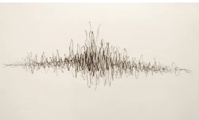 Figure 5 : Essai no.1 transposition de symptômes en lignes