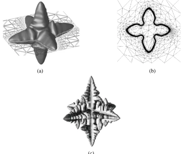 Figure  1.8 Examples of dendritic growth using: (a) the front tracking approach with an  anisotropic structured mesh [BAN1994], (b) the phase-field approach with unstructured 
