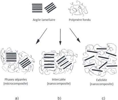 Figure 1.11 : Différentes configurations possibles pour l’argile lamellaire au sein de la matrice polymère